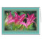 Fuchsia Dreams - Daylilies