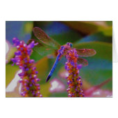 Fuchsia  flower and dragon fly (Front Horizontal)