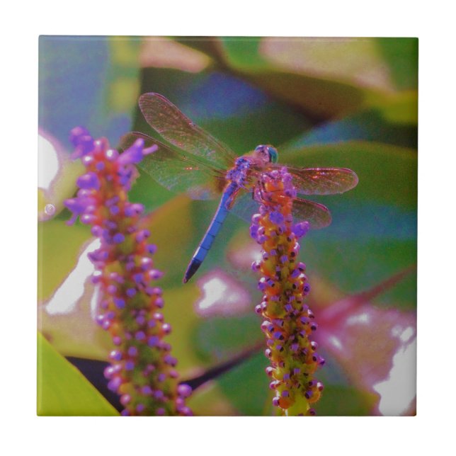 Fuchsia  flower and dragon fly ceramic tile (Front)