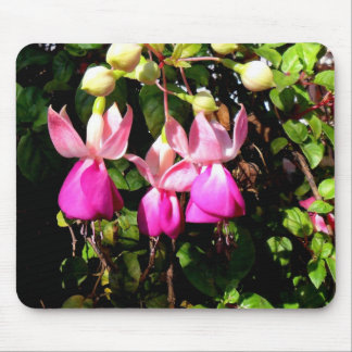 Fuchsia Frame Mouse Pad
