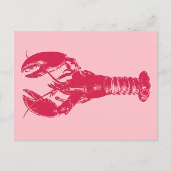 Fuchsia Lobster On Light Pink Postcard by Floridity at Zazzle