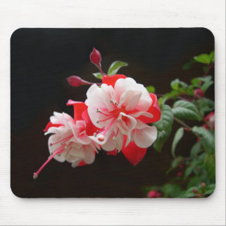 Fuchsia Mouse Pad