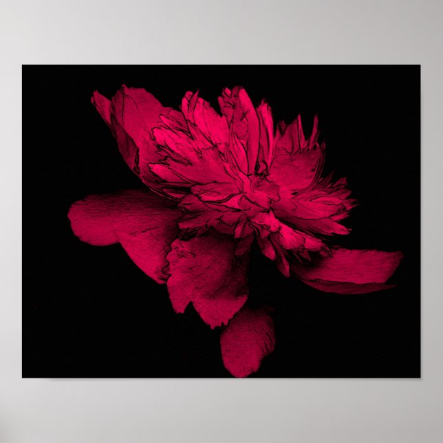 Fuchsia Peony Flower Abstract Floral Art Poster (Front)