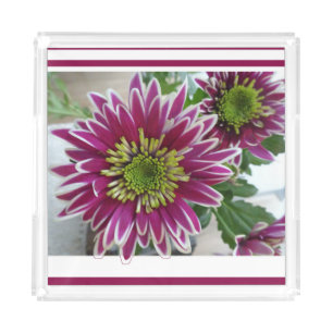 Fuchsia Pink Chrysanthemums Collage Acrylic Tray