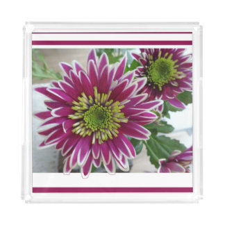 Fuchsia Pink Chrysanthemums Collage Acrylic Tray