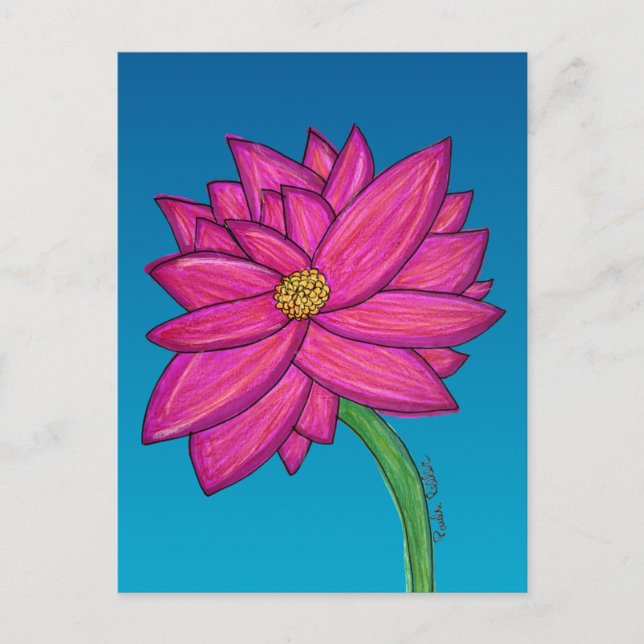 Fuchsia Pink Flower with blue background Postcard (Front)