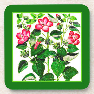 Fuchsia Pink Italian Hibiscus flowers Beverage Coaster