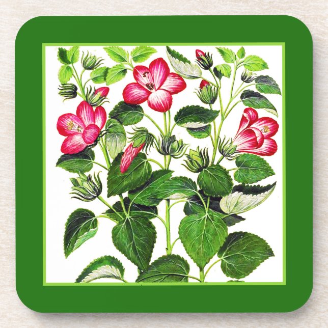 Fuchsia Pink Italian Hibiscus flowers Beverage Coaster (Front)