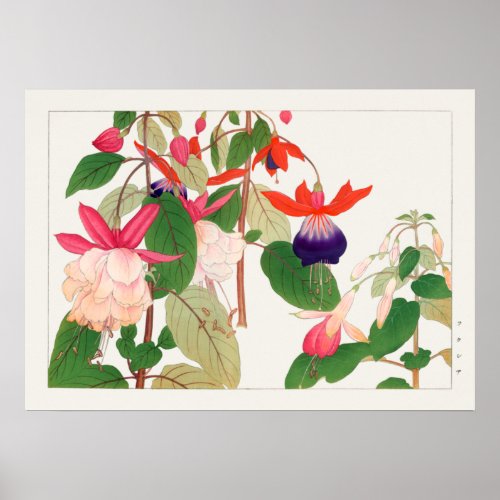 Fuchsia Pink Purple Red Flowers Tanigami Konan Poster