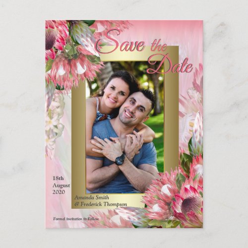 Fuchsia  Proteas with Blush  Gold  Save the Date Announcement Postcard
