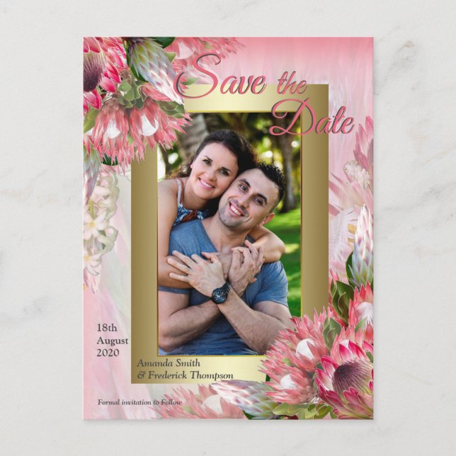 Fuchsia  Protea's with Blush & Gold  Save the Date Announcement Postcard (Front)