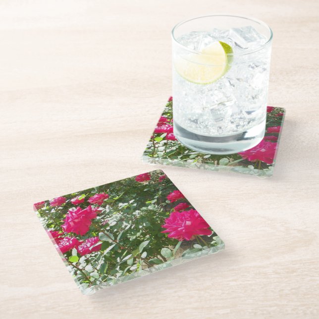 Fuchsia roses everywhere  glass coaster (Angled)