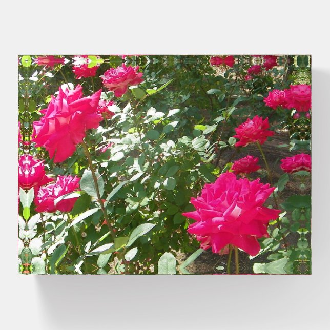 Fuchsia roses everywhere paperweight (Front)
