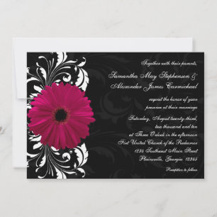 Fuchsia Scroll Gerbera Daisy w/Black and White Invitation