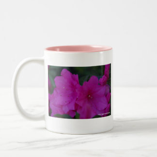 Fucshia Azaleas Mug