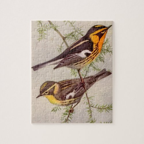 Fuertes Blackburnian Warbler Bird Painting Jigsaw Puzzle