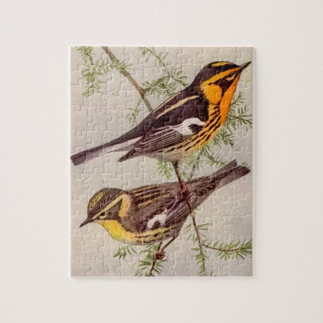 Fuertes Blackburnian Warbler Bird Painting Jigsaw  Puzzle (Vertical)