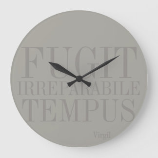 Fugit Irreparabile Tempus clock