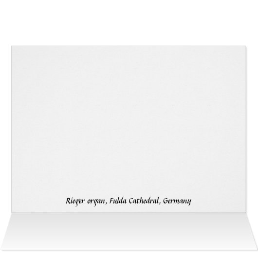 Fulda Cathedral organ (Inside Horizontal (Top))