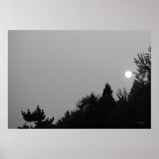 Fulfilment: Nature Zen/Tao Poster (Front)