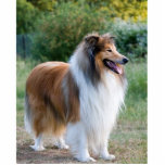 full 5 rough collie statuette<br><div class="desc">r</div>