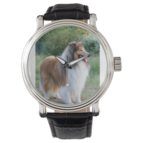 full 5 rough collie watch