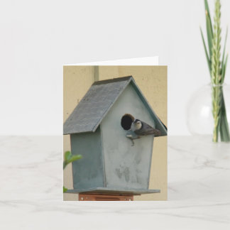 FULL BIRDHOUSE BLANK NOTECARD