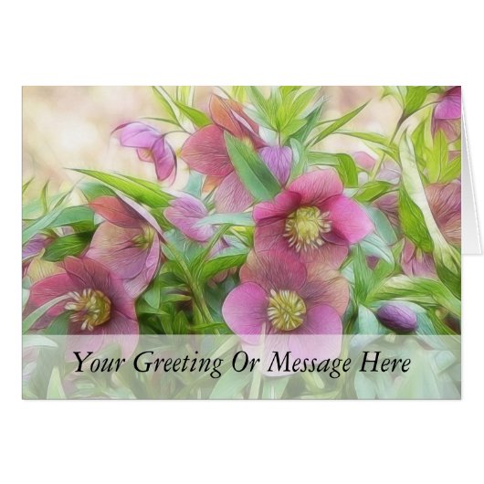 Full Bloom - Hellebores! Cards (Front Horizontal)