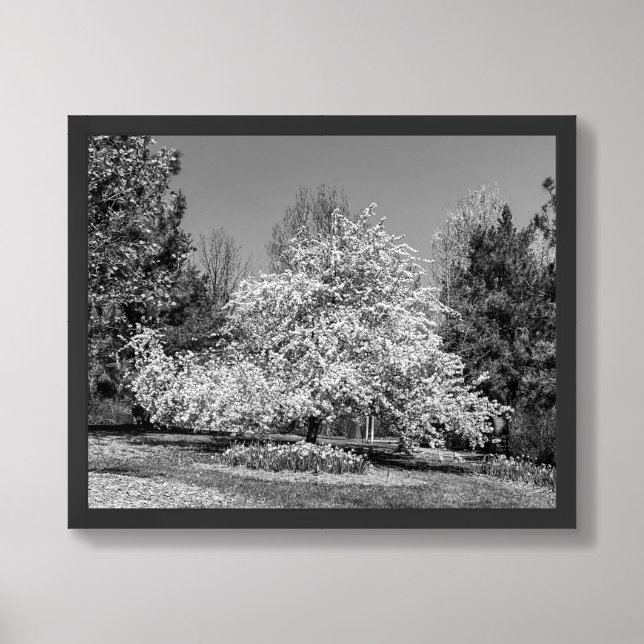 Full Bloom in Black and White Framed Art (Framed Front)