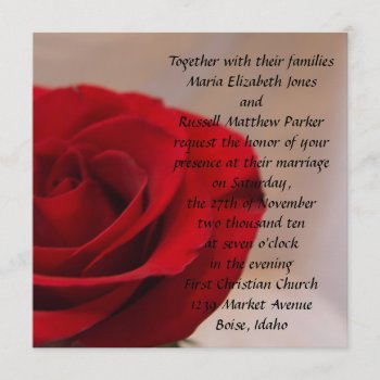 Full Bloom Red Rose Wedding Invitation by ChristyWyoming at Zazzle