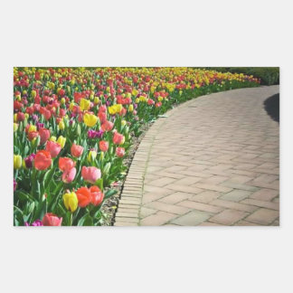Full bloom tulip path - beautiful sticker