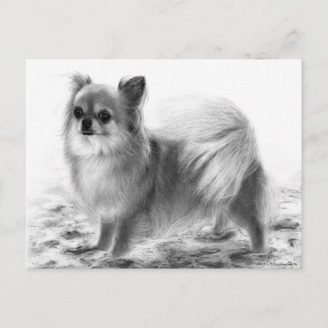 Full Body Chihuahua Hand Painted Artwork Postcard (Front)