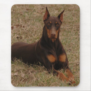 Full Color Red and Rust Doberman Pinscher Mouse Pad