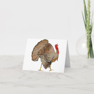 Full Color Thanksgiving Turkey Holiday Card