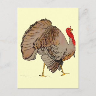 Full Color Thanksgiving Turkey Holiday Postcard