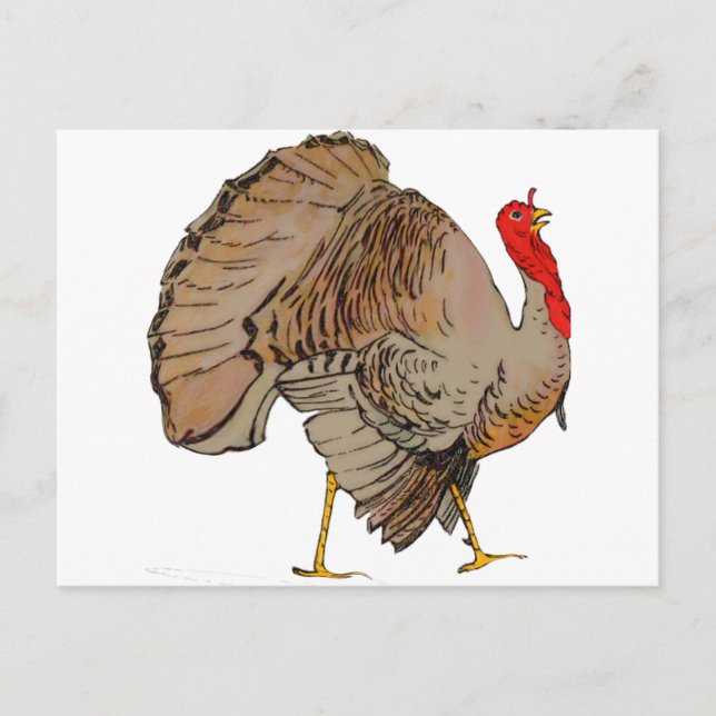 Full Color Thanksgiving Turkey Holiday Postcard (Front)