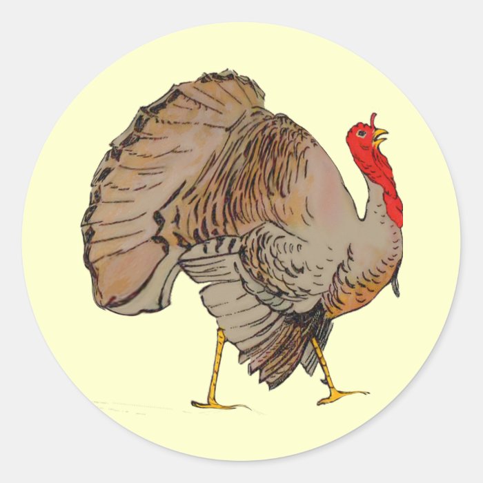 Full Color Thanksgiving Turkey Round Stickers