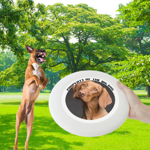 Full Custom Photo with Name Wham-O Frisbee