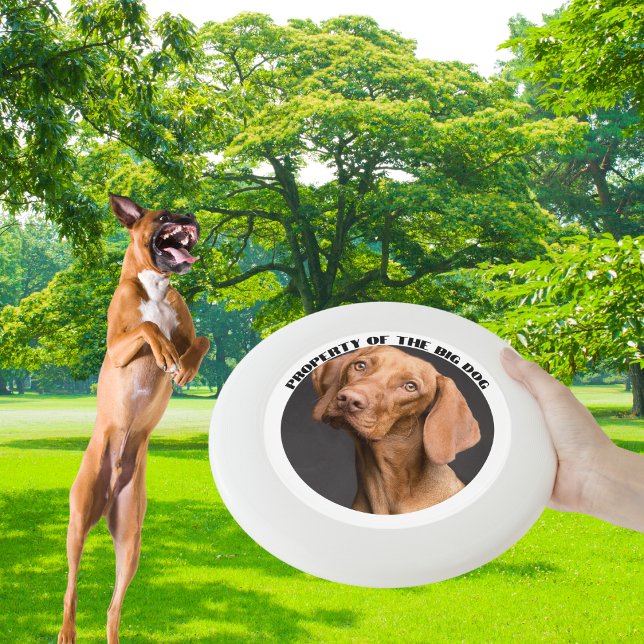 Full Custom Photo with Name Wham-O Frisbee (This design will get your dog excited with his own custom frisbee to catch. )