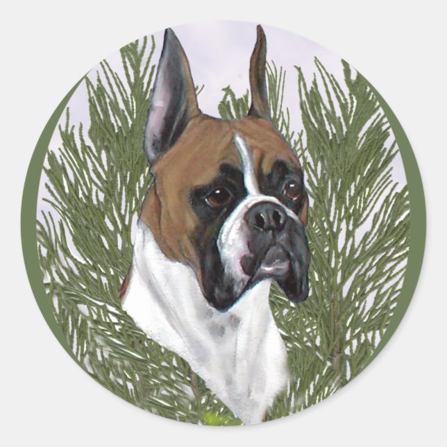 Full Face Boxer Head Study Classic Round Sticker (Front)