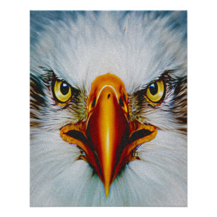 Full Face Eagle Poster