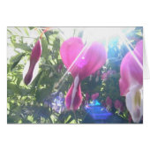 full heart (Front Horizontal)