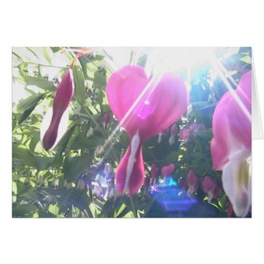 full heart (Front Horizontal)