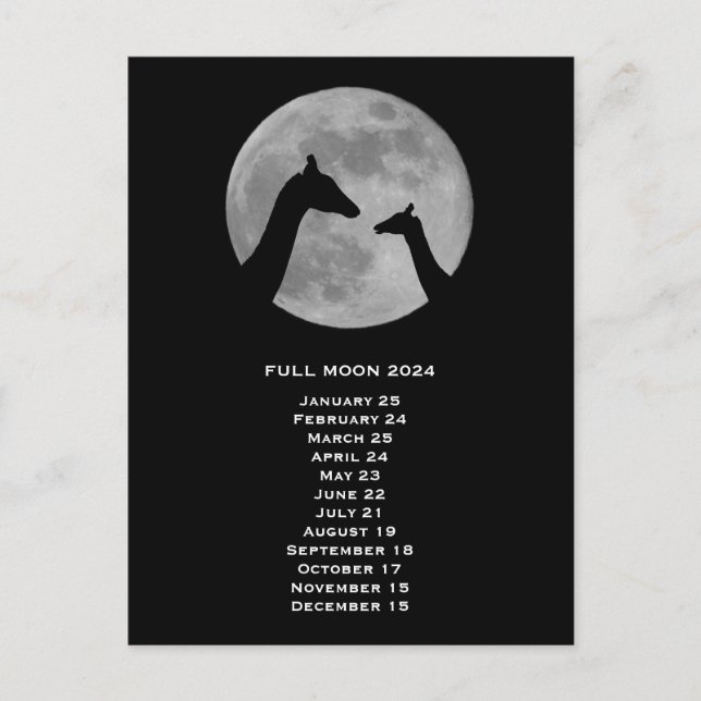 Full Moon 2024 Europe Date Postcard (Front)