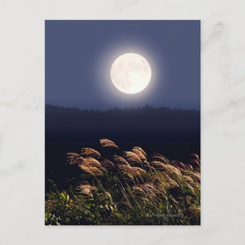 Full Moon 2 Postcard