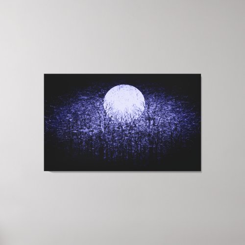 Full Moon 9 Canvas Print