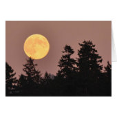 Full Moon August 2013 - Frameable Art Card (Front Horizontal)