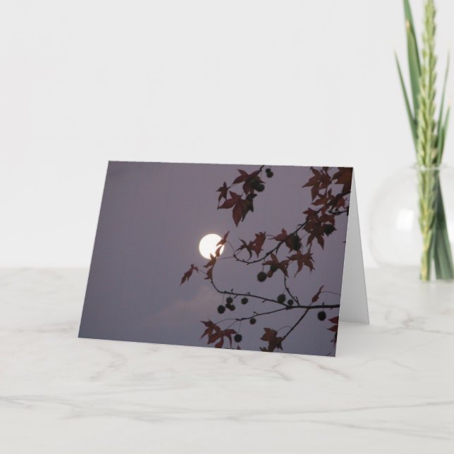 Full Moon behind leafy branch Greeting Card (Front)