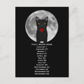 Full Moon Cat 2026 Postcard