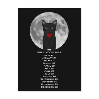 Full Moon  Cat 2026  Postcard